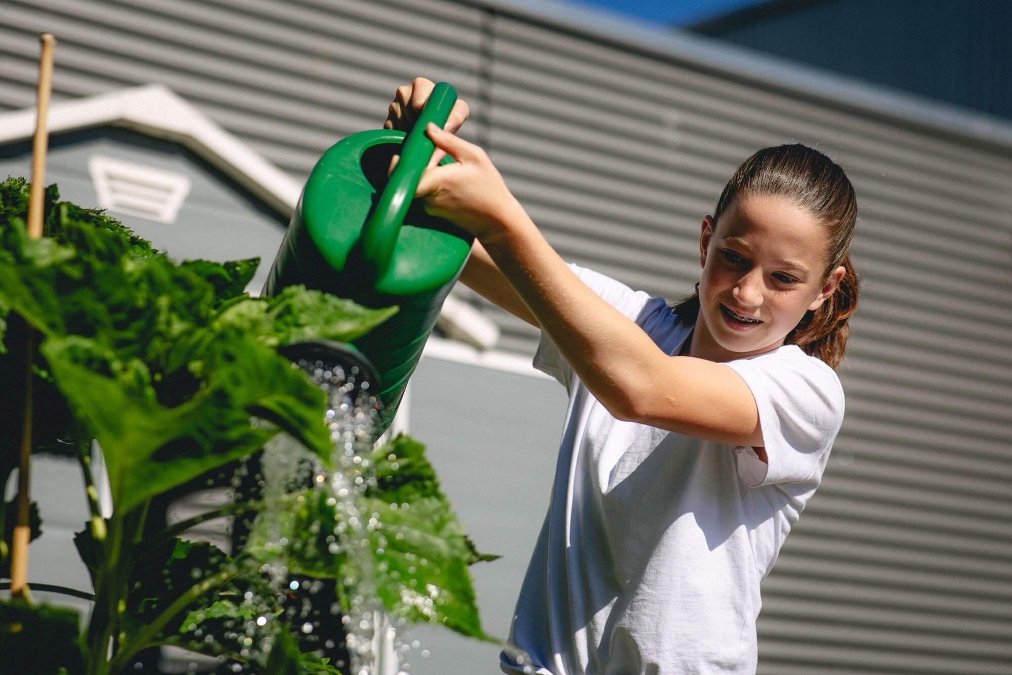 Leerling-moestuin