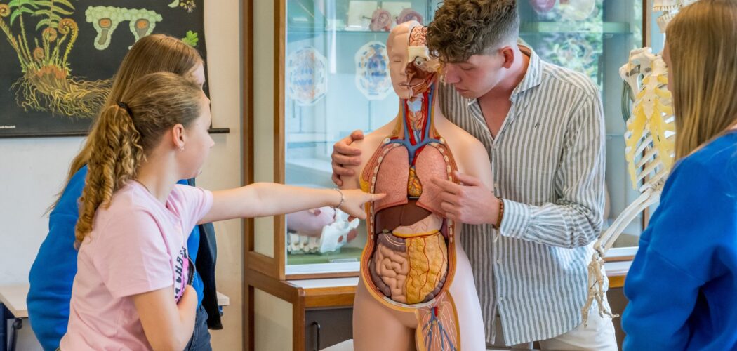 Docent bij biologie